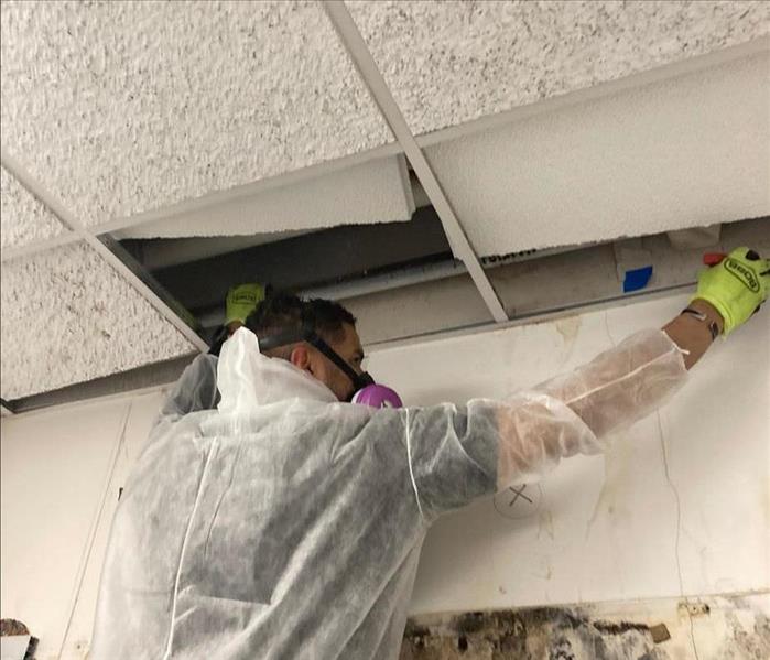 A technician prepares mold-damages walls and ceilings for careful removal