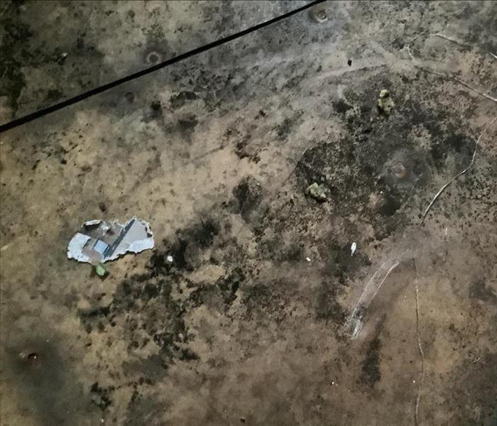 Mold and debris on wet flooring before SERVPRO cleanup