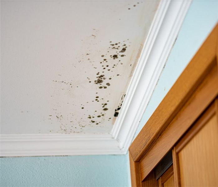 mold growing on the ceiling of a room by a door
