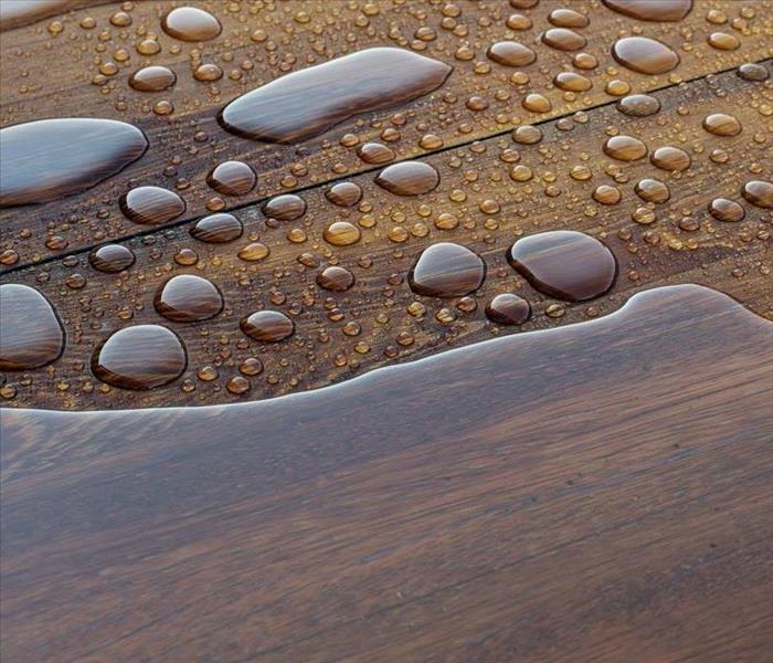 Water on wood flooring. 