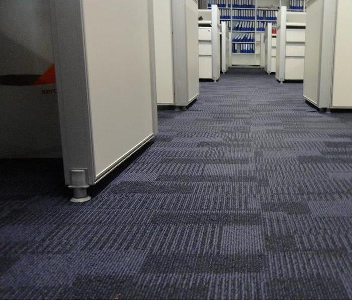 closeup of carpeted office floor; cubicles in background