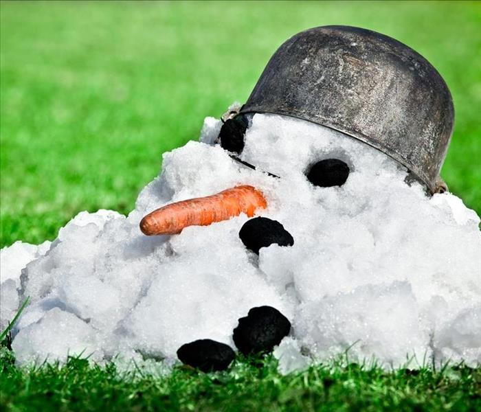 melting snow man with carrot nose and coal